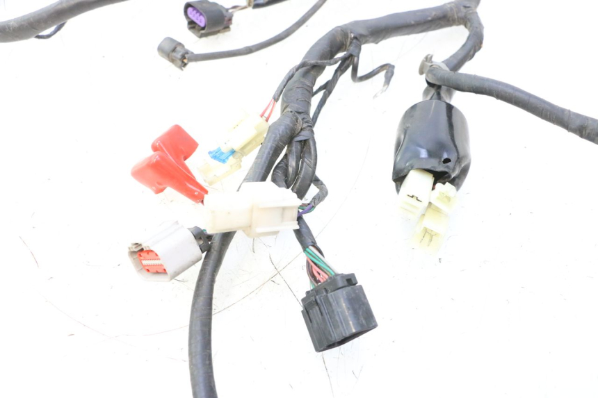 photo de WIRING HARNESS JM MOTORS F45i 4T 50 (2020 - 2023) - Technical close-up