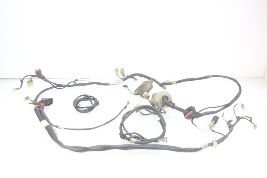 photo de WIRING HARNESS HONDA FES PANTHEON 2T 125 (1998 - 2002) - Main view