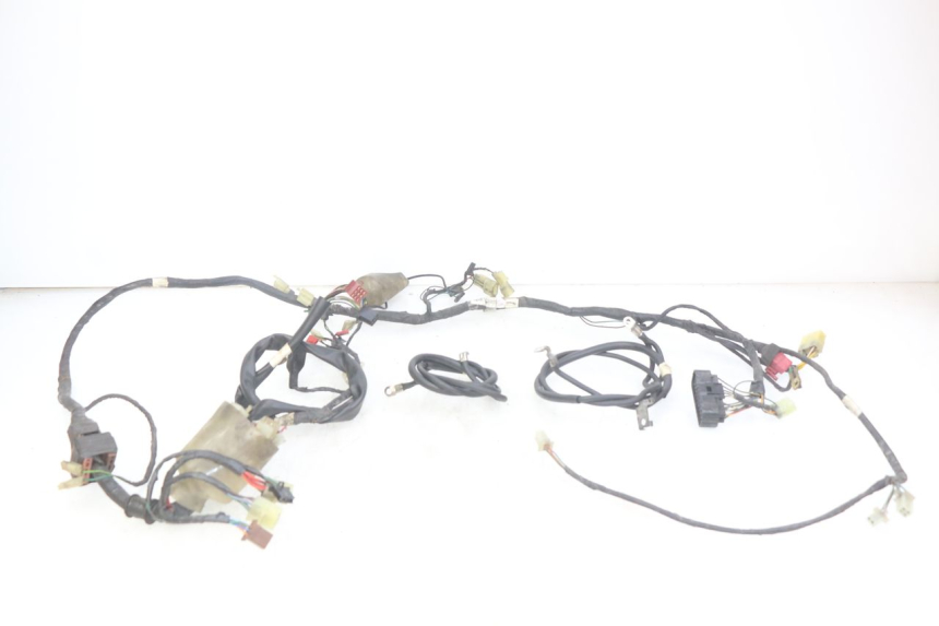 photo de WIRING HARNESS HONDA FES PANTHEON 2T 125 (1998 - 2002) - Technical close-up