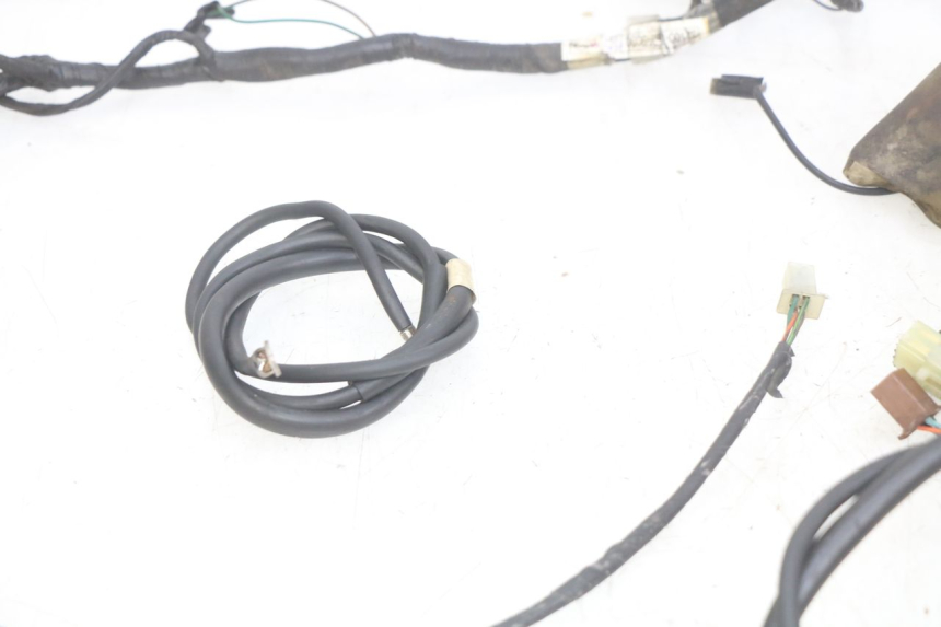 photo de WIRING HARNESS HONDA FES PANTHEON 2T 125 (1998 - 2002) - Fixing points details