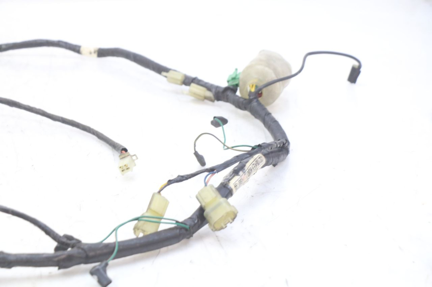 photo de WIRING HARNESS HONDA FES PANTHEON 2T 125 (1998 - 2002) - Alternative perspective
