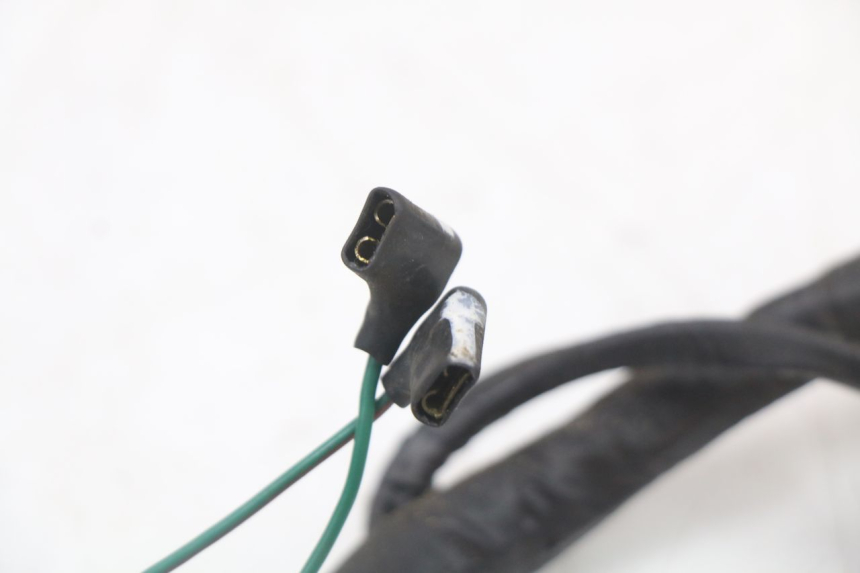 photo de WIRING HARNESS HONDA FES PANTHEON 2T 125 (1998 - 2002) - Distinctive features