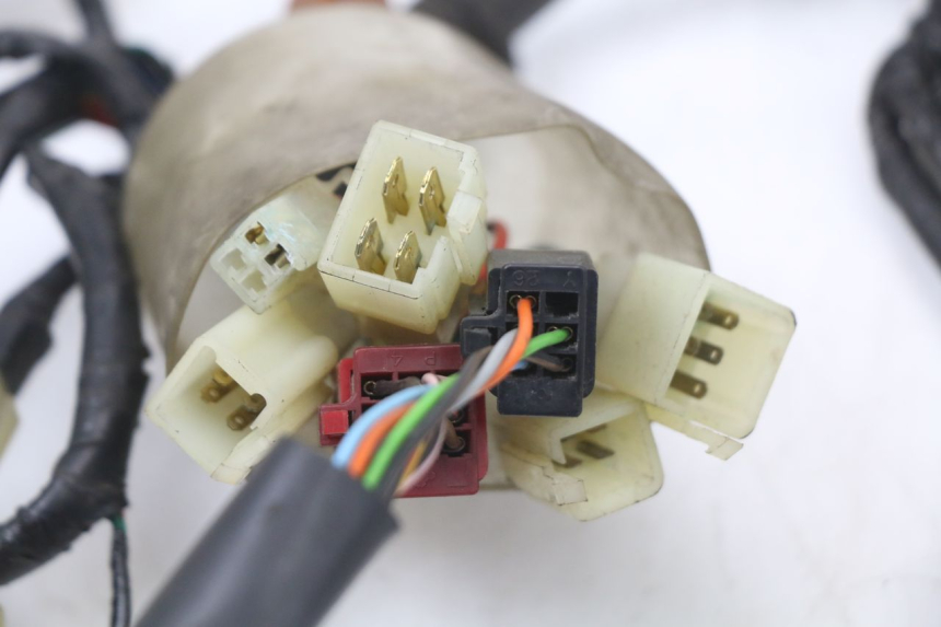 photo de WIRING HARNESS HONDA FES PANTHEON 2T 125 (1998 - 2002) - Alternative perspective
