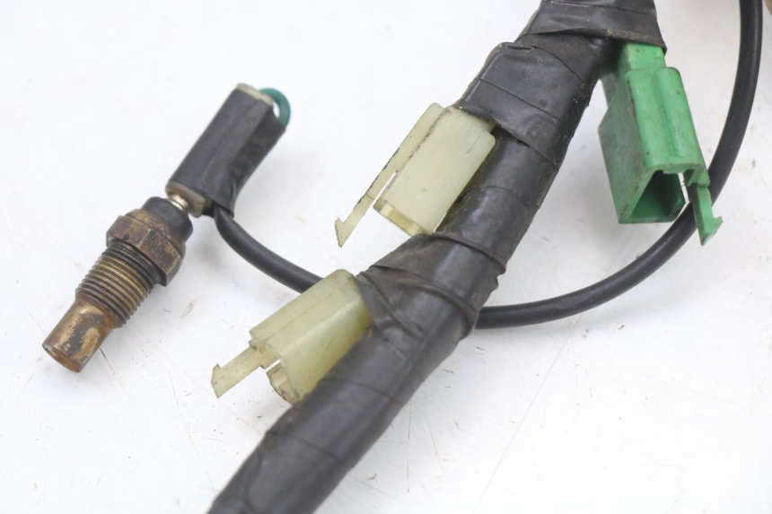 photo de WIRING HARNESS HONDA FES PANTHEON 2T 125 (1998 - 2002) - Checked used part