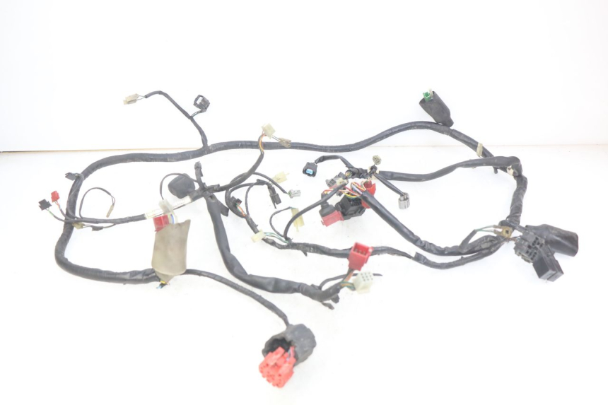 photo de WIRING HARNESS HONDA FES PANTHEON 125 (2003 - 2007) - Main view