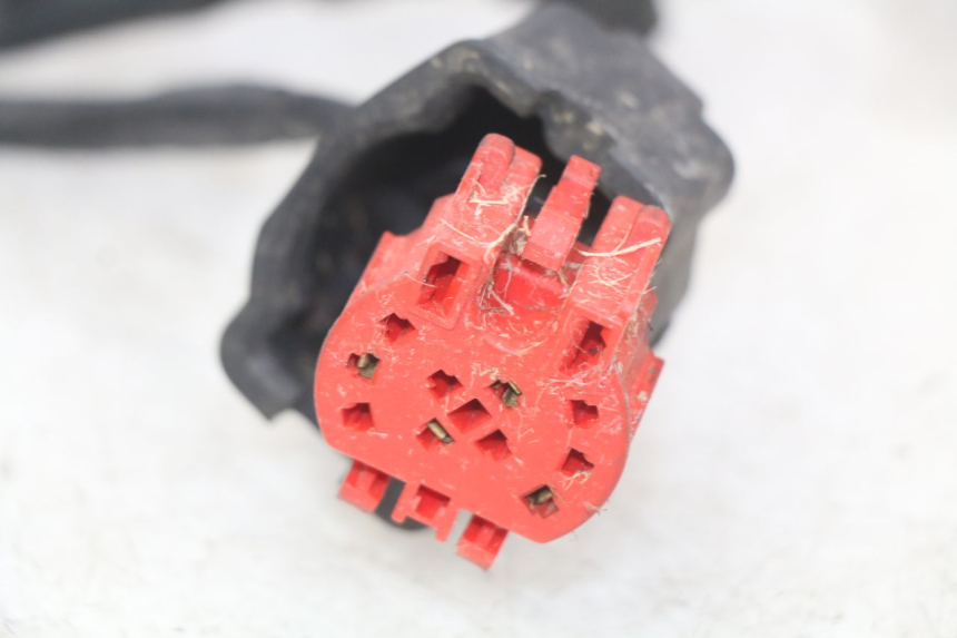 photo de WIRING HARNESS HONDA FES PANTHEON 125 (2003 - 2007) - High-resolution close-up