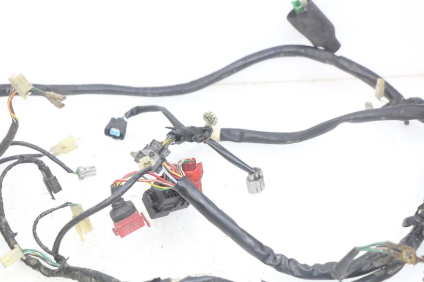 photo de WIRING HARNESS HONDA FES PANTHEON 125 (2003 - 2007) - Markings and original references