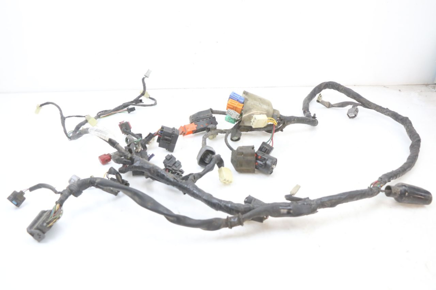 photo de WIRING HARNESS HONDA FES S-WING SWING ABS 125 (2007 - 2015) - Main view