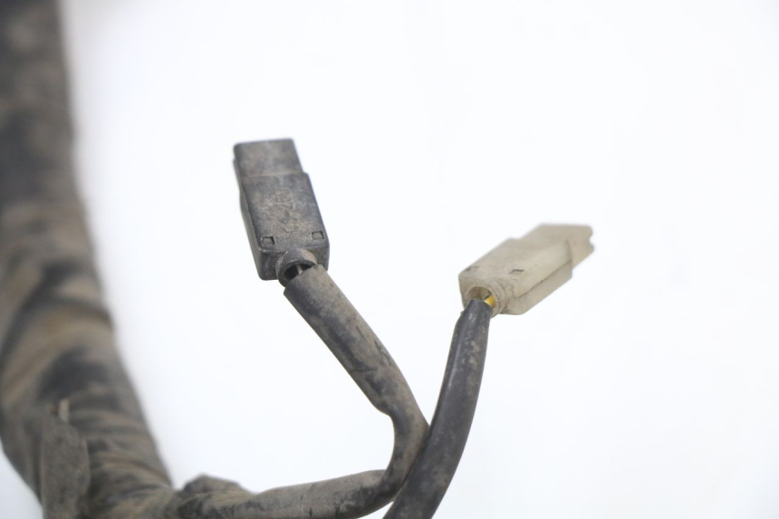 photo de WIRING HARNESS HONDA FES S-WING SWING ABS 125 (2007 - 2015) - Distinctive features