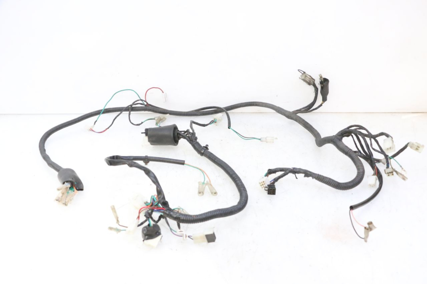 photo de WIRE HARNESS STAHO FH 50 (2018 - 2019) - Main view