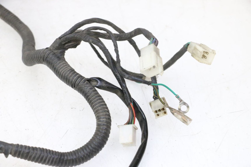 photo de WIRE HARNESS STAHO FH 50 (2018 - 2019) - Technical close-up