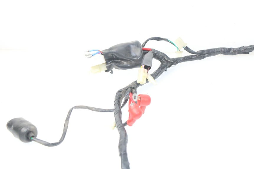 photo de WIRE HARNESS EUROCKA FIFTY 50 (2013 - 2022) - Alternative perspective