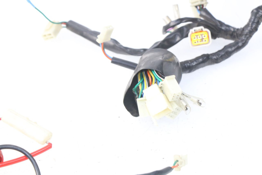 photo de WIRE HARNESS EUROCKA FIFTY 50 (2013 - 2022) - Technical close-up