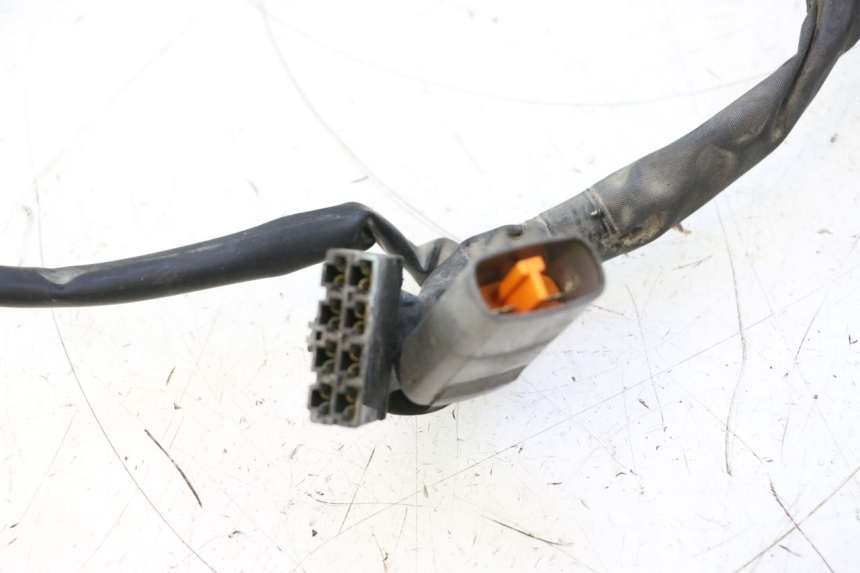 photo de WIRE HARNESS YAMAHA FJR 1300 (2001 - 2005) - Distinctive features