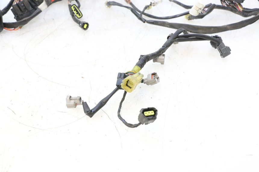 photo de WIRE HARNESS YAMAHA FJR 1300 (2001 - 2005) - Detailed visual inspection