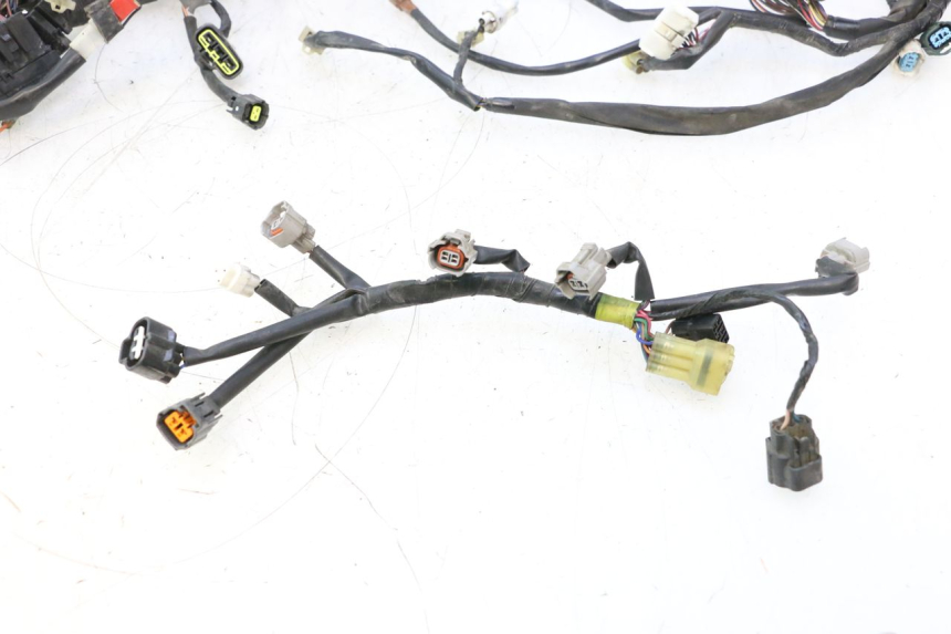photo de WIRE HARNESS YAMAHA FJR 1300 (2001 - 2005) - Focus on structure