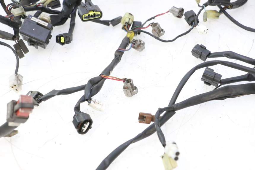 photo de WIRE HARNESS YAMAHA FJR 1300 (2001 - 2005) - Focus on structure