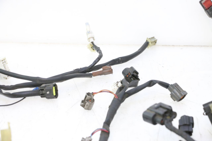 photo de WIRE HARNESS YAMAHA FJR 1300 (2001 - 2005) - Markings and original references