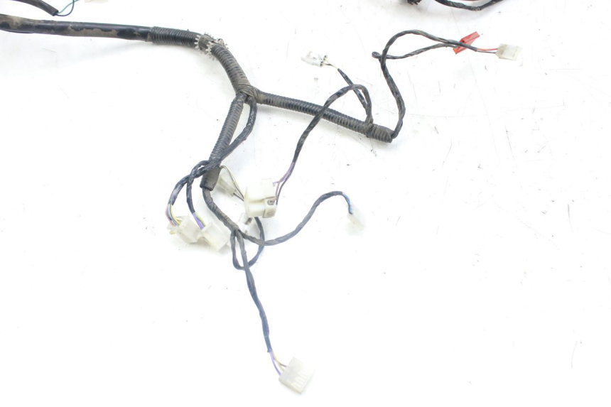 photo de WIRING HARNESS PIAGGIO FLY 4T 50 (2013 - 2017) - Distinctive features
