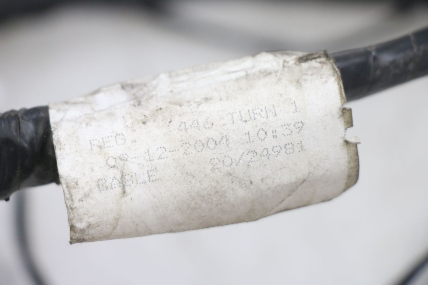 photo de WIRING HARNESS PIAGGIO FLY 125 (2005 - 2012) - Zoom on usage condition