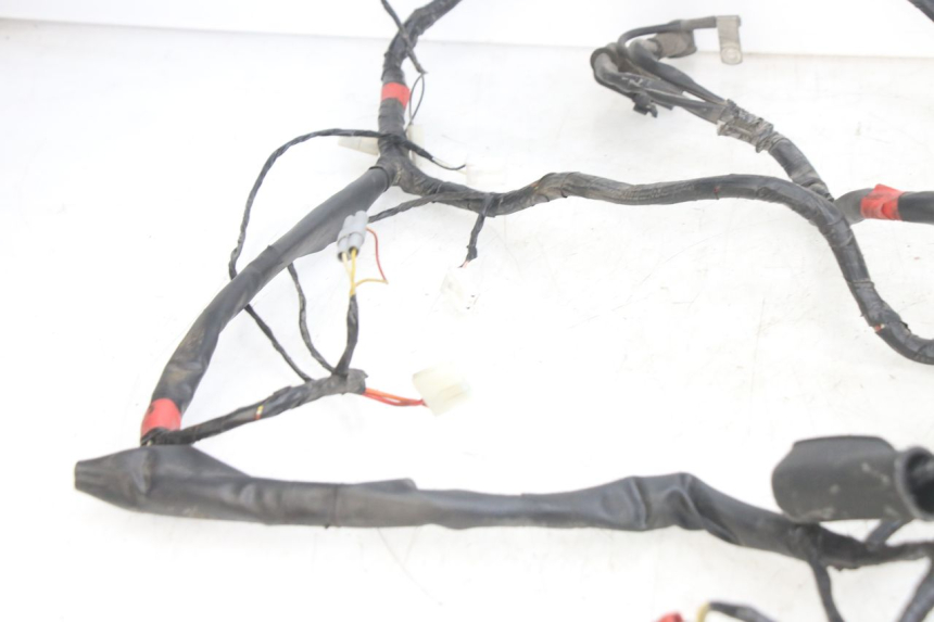 photo de WIRING HARNESS PIAGGIO FLY 125 (2005 - 2012) - Checked used part