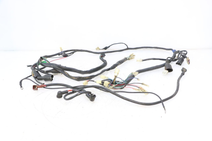 photo de WIRE HARNESS KEEWAY FOCUS 50 (2006 - 2009) - Main view