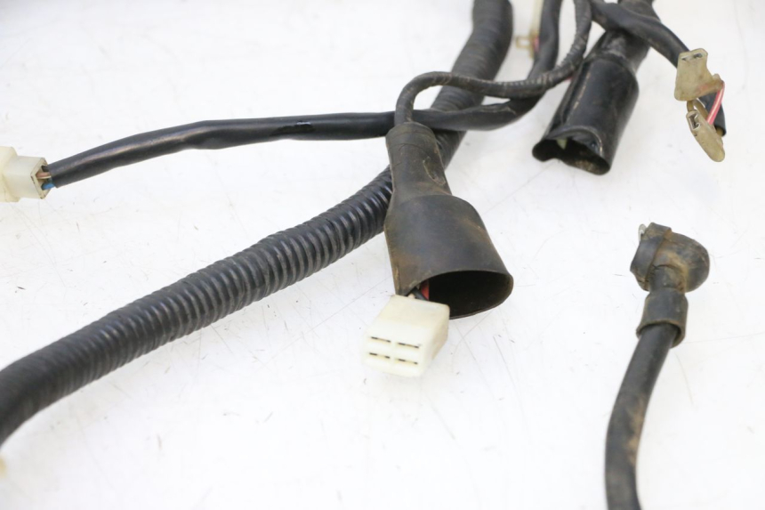 photo de WIRE HARNESS KEEWAY FOCUS 50 (2006 - 2009) - Markings and original references