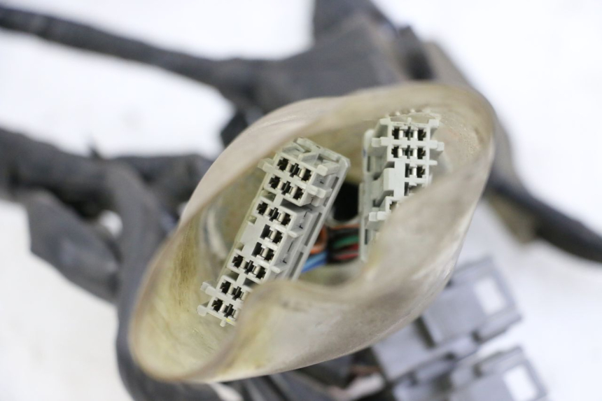 photo de WIRE HARNESS HONDA FORZA ABS 300 (2013 - 2017) - Technical close-up