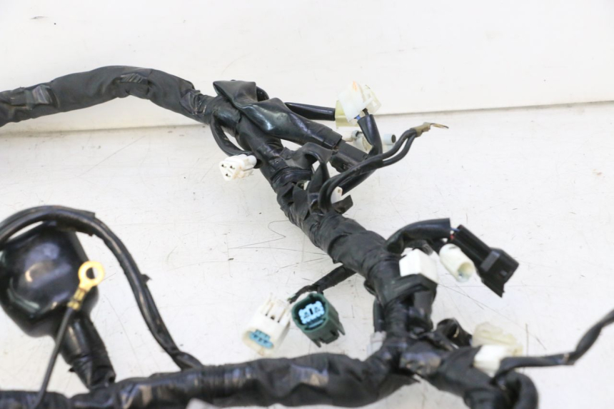 photo de WIRE HARNESS YAMAHA FZ8 800 (2010 - 2016) - High-resolution close-up