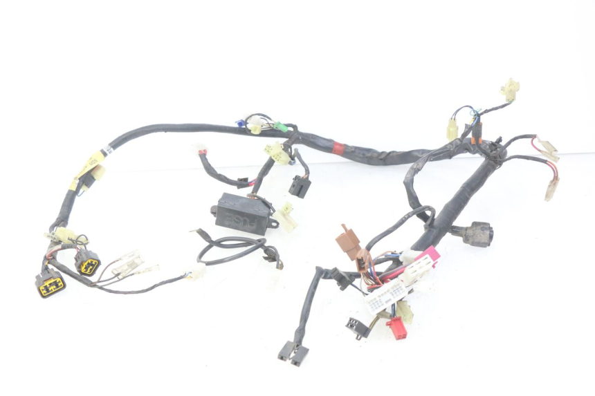 photo de WIRING HARNESS YAMAHA FZS FAZER 600 (1998 - 2001) - Main view