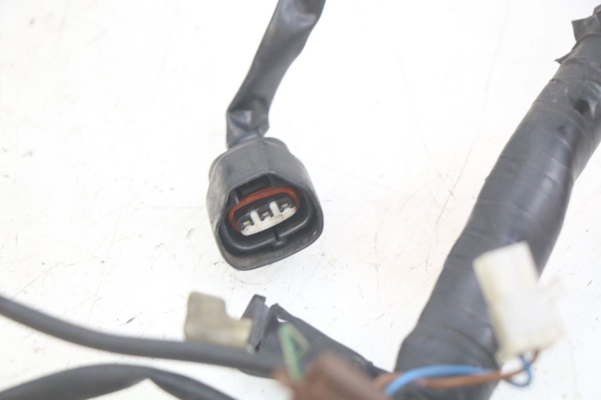 photo de WIRING HARNESS YAMAHA FZS FAZER 600 (1998 - 2001) - Component detail