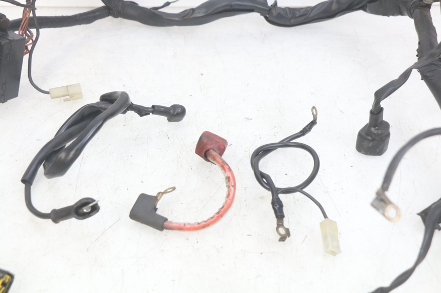 photo de WIRING HARNESS YAMAHA FZS FAZER 600 (1998 - 2001) - Additional view of the item