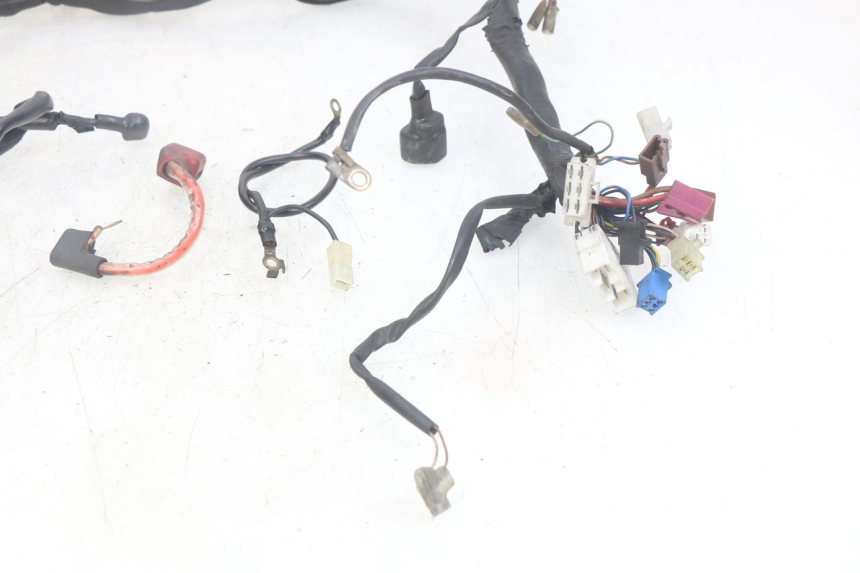 photo de WIRING HARNESS YAMAHA FZS FAZER 600 (1998 - 2001) - High-resolution close-up