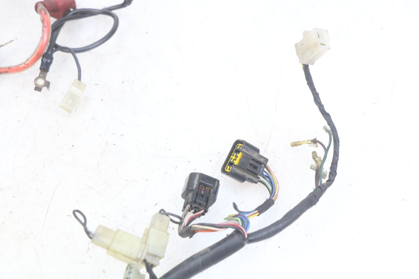 photo de WIRING HARNESS YAMAHA FZS FAZER 600 (1998 - 2001) - Alternative perspective