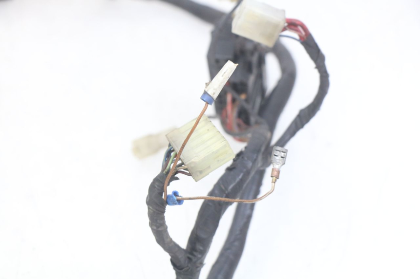 photo de WIRING HARNESS YAMAHA FZS FAZER 600 (1998 - 2001) - Fixing points details