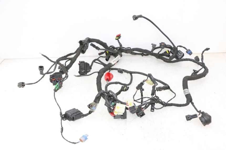 photo de WIRE HARNESS BMW G310 R 310 (2016 - 2020) - Main view