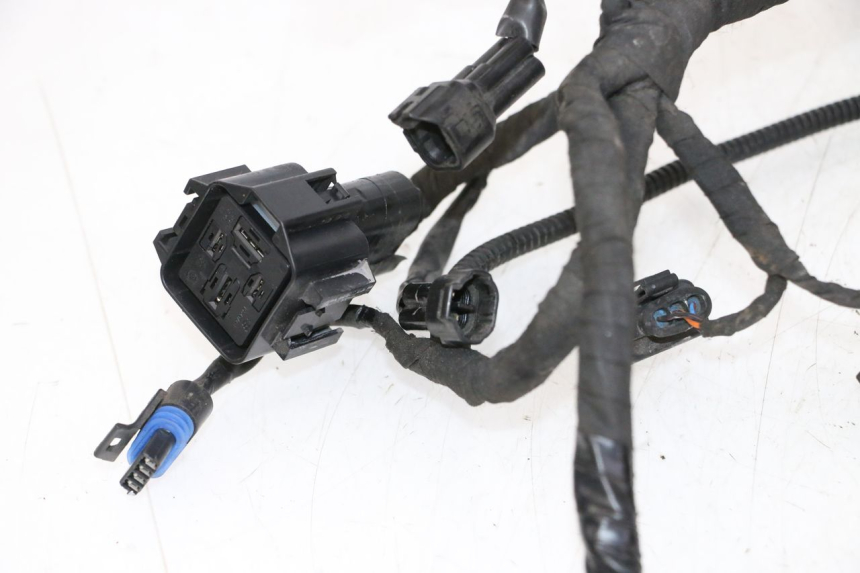 photo de WIRE HARNESS BMW G310 R 310 (2016 - 2020) - Component detail