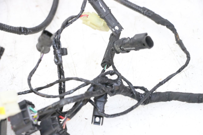 photo de WIRE HARNESS BMW G310 R 310 (2016 - 2020) - High-resolution close-up