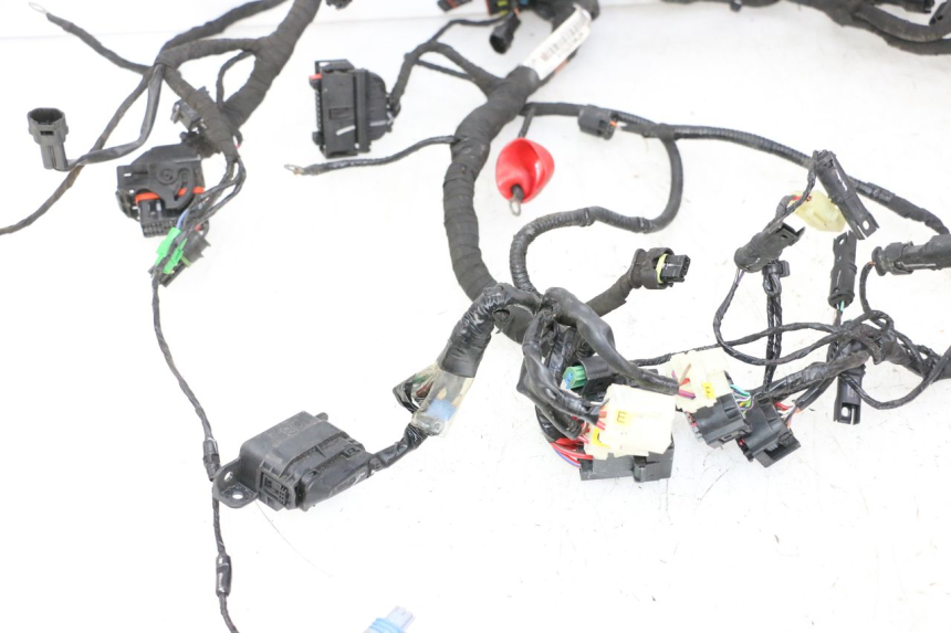 photo de WIRE HARNESS BMW G310 R 310 (2016 - 2020) - Markings and original references