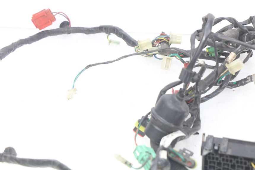 photo de WIRING HARNESS PEUGEOT GEOPOLIS 400 (2007 - 2013) - Fixing points details