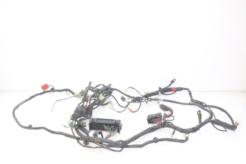 photo de WIRING HARNESS PEUGEOT GEOPOLIS 400 (2007 - 2013) - Surface and material condition