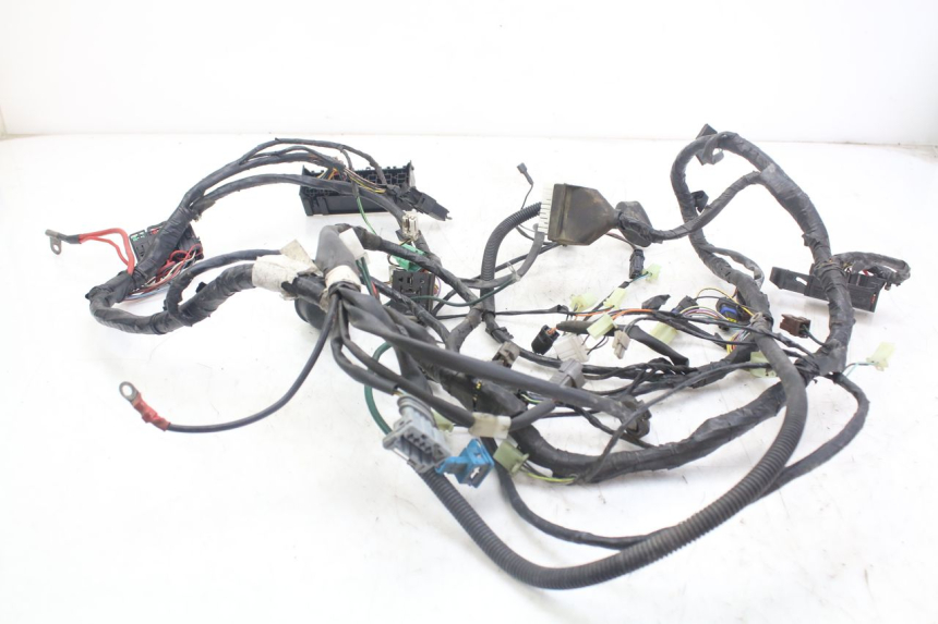 photo de WIRE HARNESS PEUGEOT GEOPOLIS RS 125 (2007 - 2009) - Main view