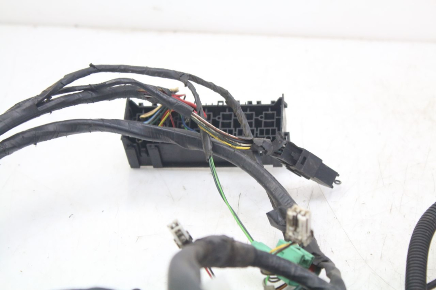 photo de WIRE HARNESS PEUGEOT GEOPOLIS RS 125 (2007 - 2009) - Technical close-up