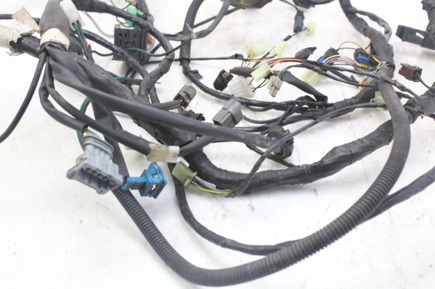 photo de WIRE HARNESS PEUGEOT GEOPOLIS RS 125 (2007 - 2009) - Fixing points details