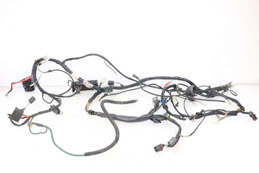 photo de WIRE HARNESS PEUGEOT GEOPOLIS RS 125 (2007 - 2009) - Main view