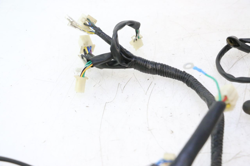 photo de WIRE HARNESS VASTRO GP 2T 50 (2013 - 2017) - Component detail
