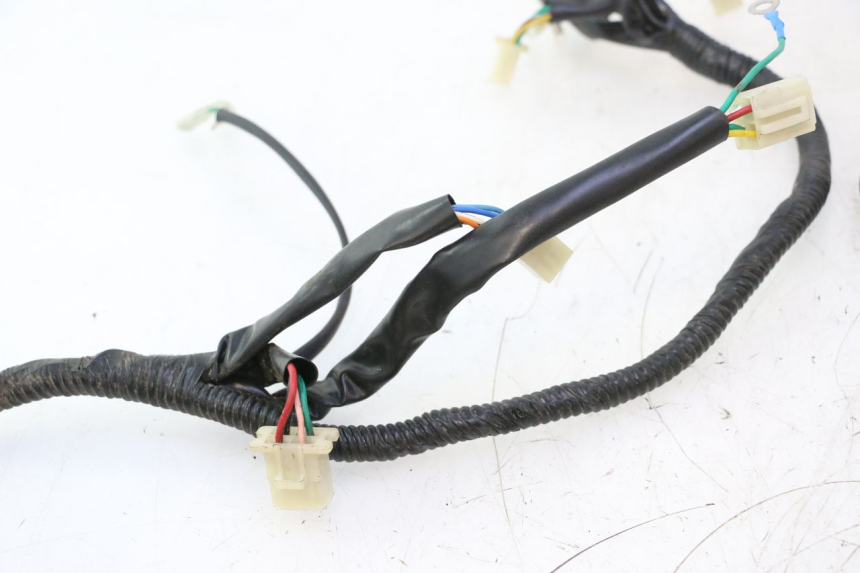 photo de WIRE HARNESS VASTRO GP 2T 50 (2013 - 2017) - Product overview