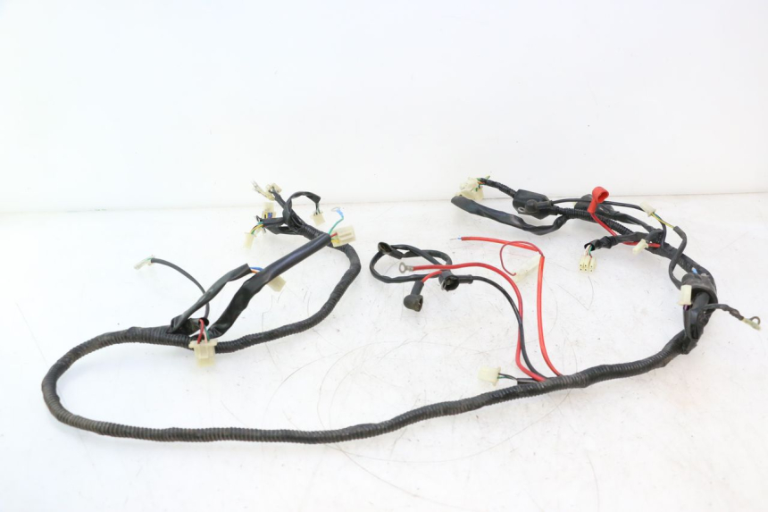 photo de WIRE HARNESS VASTRO GP 2T 50 (2013 - 2017) - Fixing points details
