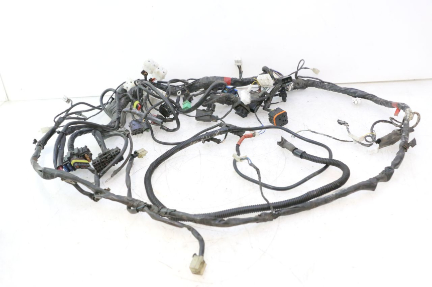 photo de WIRE HARNESS GILERA GP 800 (2007 - 2013) - Component detail