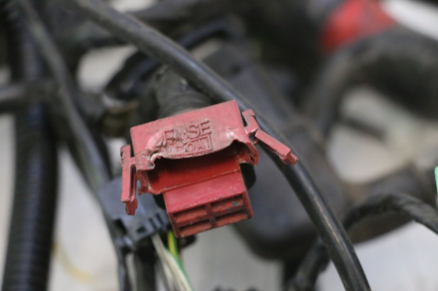 photo de WIRE HARNESS GILERA GP 800 (2007 - 2013) - Detailed visual inspection